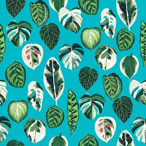 variegated palm plants fabric - palm print, monstera fabric, palm print wallpaper, monstera wallpaper, variegated leaves - teal