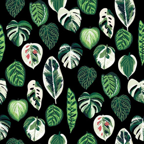 variegated palm plants fabric - palm print, monstera fabric, palm print wallpaper, monstera wallpaper, variegated leaves - black