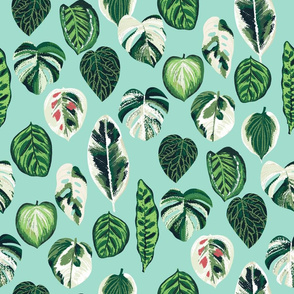 variegated palm plants fabric - palm print, monstera fabric, palm print wallpaper, monstera wallpaper, variegated leaves - mint