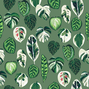 variegated palm plants fabric - palm print, monstera fabric, palm print wallpaper, monstera wallpaper, variegated leaves -green