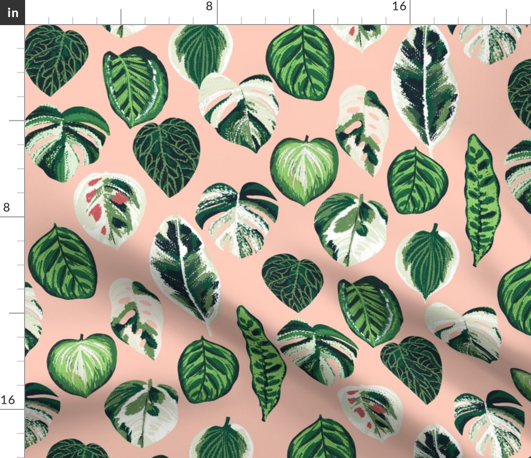 variegated palm plants fabric - palm print, monstera fabric, palm print wallpaper, monstera wallpaper, variegated leaves - blush