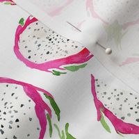 Watercolor Dragon fruits on white