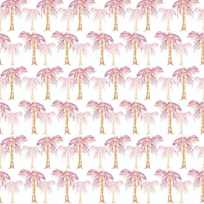 Medium Pink Safari Palms