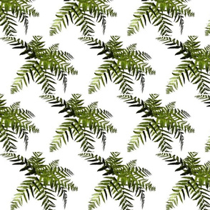 jungle_palm_trees-ed