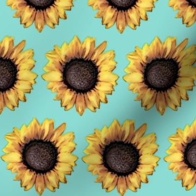 Sunflower Army Spaced / Aqua Blue Floral 