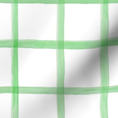 Wide Painted Green Grid