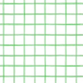 Wide Painted Green Grid