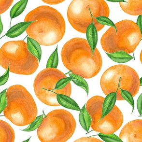 Watercolor tangerines 1