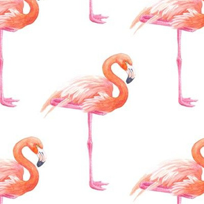 Pink flamingo 2