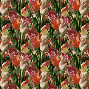 Blossom Photographic Tulips Caché 