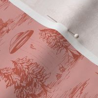 Small-Scale Pink Alien Abduction Toile