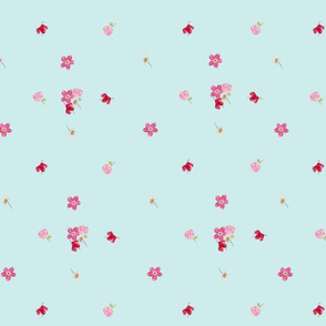 Pink Flowers on teal