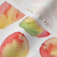 Watercolor Mango on white background