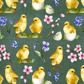 Watercolor Chicks / Olive Green Linen Texture Background 