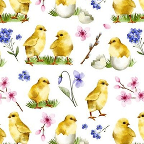 Watercolor Chicks  /White Background 