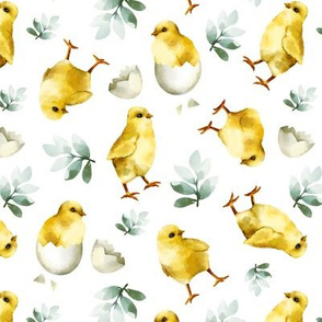 Watercolor Chicks / White Background 