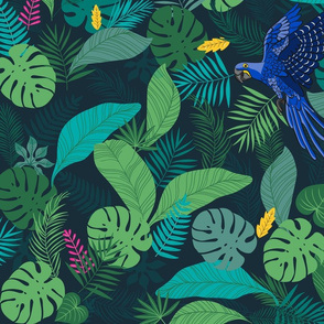 Large scale • Blue arara rainforest