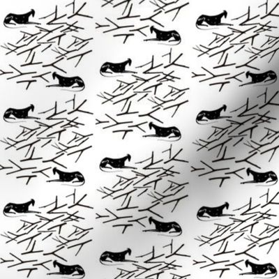 greyhound - black and white