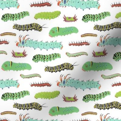 caterpillars pattern 2