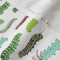 caterpillars pattern 2