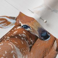 Spring Fawn on White {larger scale}