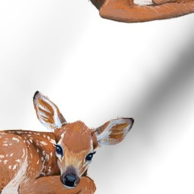 Spring Fawn on White {larger scale}