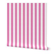 Pink & White Stripes w/ Linen Effect