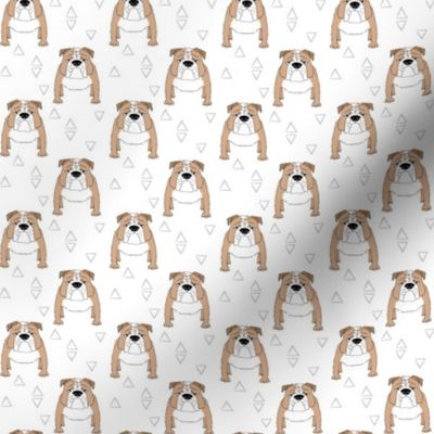 tiny english bulldogs and triangles on white