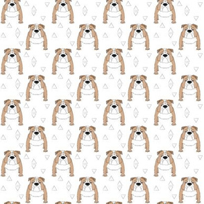 tiny english bulldogs and triangles on white