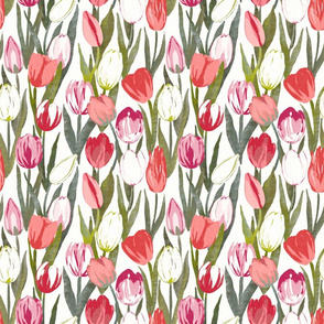 (MEDIUM) Tulip Bloom on white