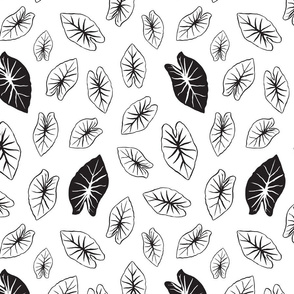 Taro Leaf - White and Black