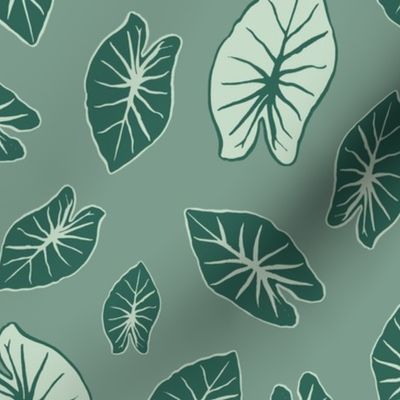 Taro Leaf - Sage Green