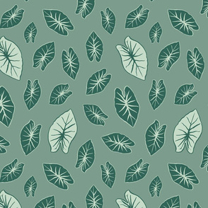 Taro Leaf - Sage Green