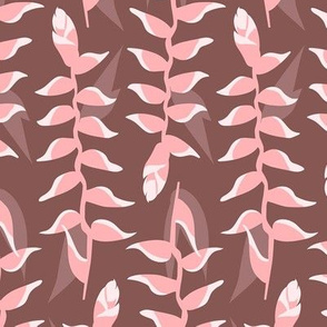 Heliconia Flower - Brown and Pink