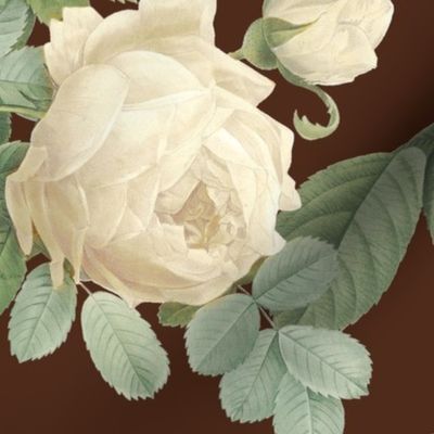 Les Roses de Redoute ~ Double Stripe ~  Cream on Terroir  