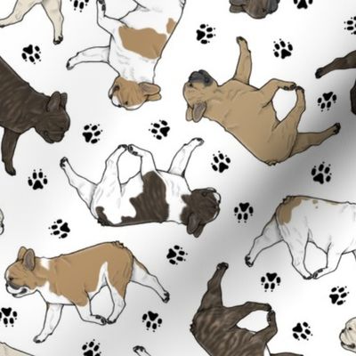 Trotting French Bulldogs and paw prints - white