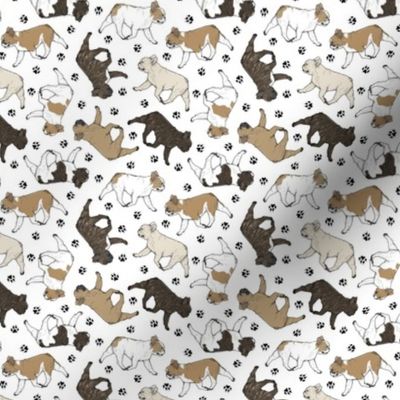 Tiny Trotting French Bulldogs and paw prints - white
