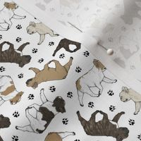 Tiny Trotting French Bulldogs and paw prints - white
