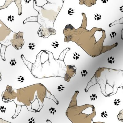 Trotting fawn French Bulldogs and paw prints - white