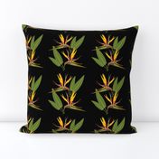 Birds of Paradise - Tropical Strelitzia #1 Black, medium