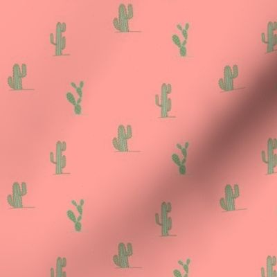 Cactus On Pink