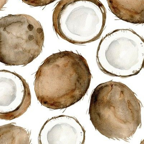 Watercolor coconuts on white background