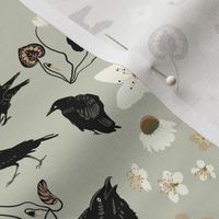 Crows and Blossoms