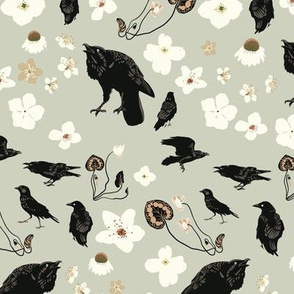 Crows and Blossoms