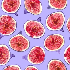 Fig slices watercolor pattern