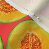 Melon slices watercolor pattern 2