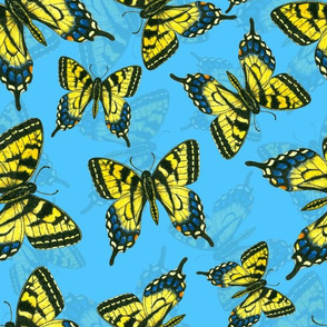 Tiger swallowtail butterfly watercolor pattern blue