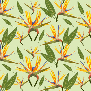 Birds of Paradise - Tropical Strelitzia #3 Cool Mint Green, large 