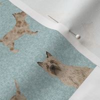 cairn terrier dog quilt, patchwork, cairn terrier cheater quilt - patchwork navy