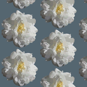 White Camellias (Large Blue)